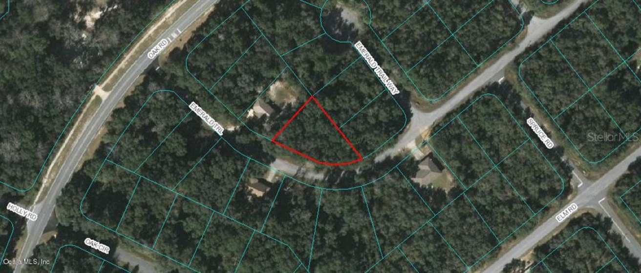 00 EMERALD TRAIL, OCALA, Florida 34472, ,Land,For Sale,EMERALD,OM523116