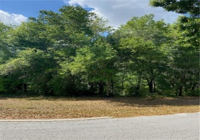 BORINQUEN DRIVE, KISSIMMEE, Florida 34744, ,Land,For Sale,BORINQUEN,S5031536