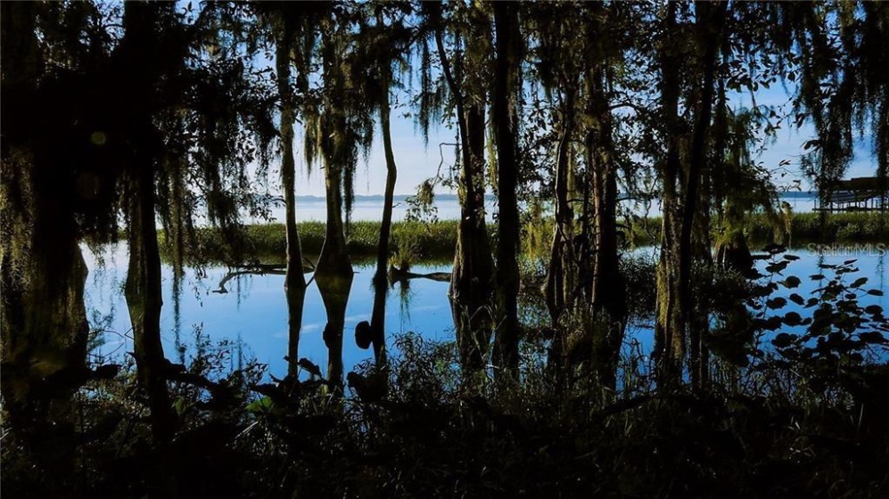 SHADOW OAK TRAIL, CLERMONT, Florida 34711, ,Land,For Sale,SHADOW OAK,O5862594