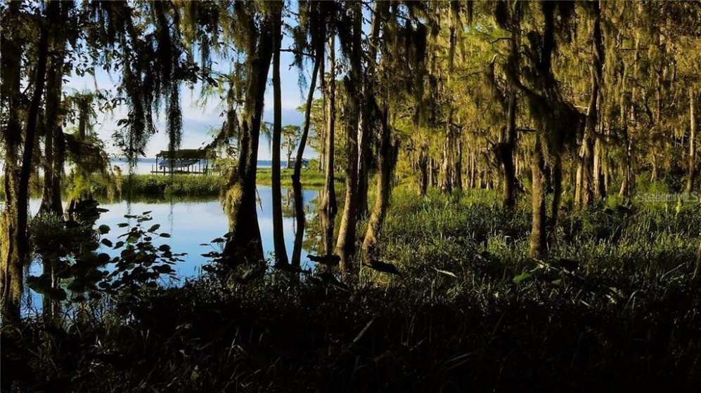 SHADOW OAK TRAIL, CLERMONT, Florida 34711, ,Land,For Sale,SHADOW OAK,O5862594