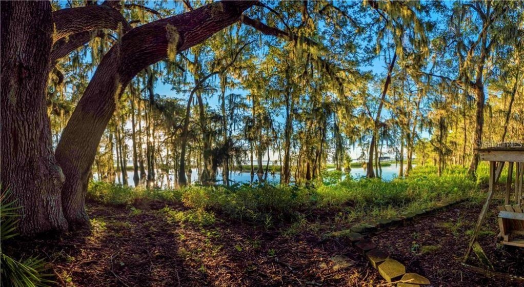 00 SHADOW OAK TRAIL, CLERMONT, Florida 34711, ,Land,For Sale,SHADOW OAK,O5862604