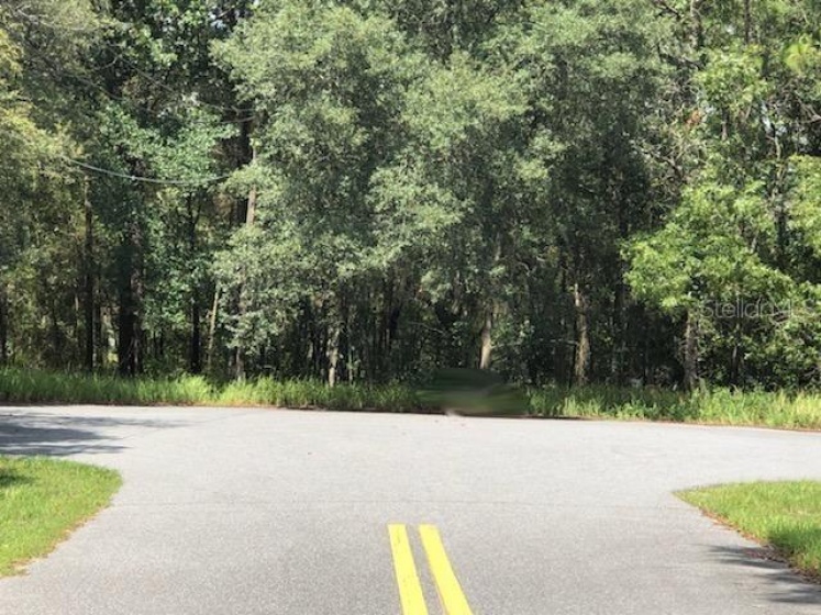 00 PINE WAY COURT, OCALA, Florida 34472, ,Land,For Sale,PINE WAY,OM606077