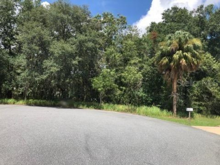 00 PINE WAY COURT, OCALA, Florida 34472, ,Land,For Sale,PINE WAY,OM606077