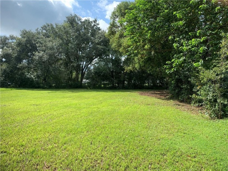 0 1ST STREET, POLK CITY, Florida 33868, ,Land,For Sale,1ST STREET,L4918191