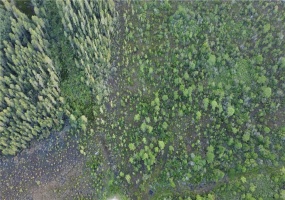 UNKNOWN, POLK CITY, Florida 33868, ,Land,For Sale,UNKNOWN,S5039824