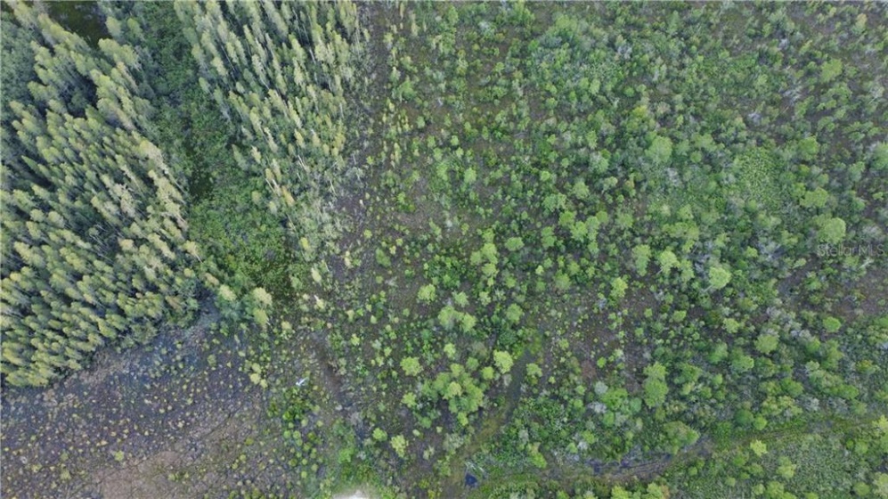 UNKNOWN, POLK CITY, Florida 33868, ,Land,For Sale,UNKNOWN,S5039824