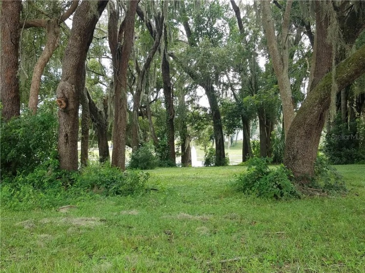 BAY STREET, DAVENPORT, Florida 33837, ,Land,For Sale,BAY,P4912724