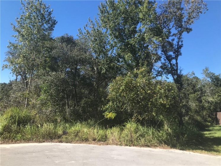 OLIVE PLACE, OCALA, Florida 34472, ,Land,For Sale,OLIVE PLACE,S5041645