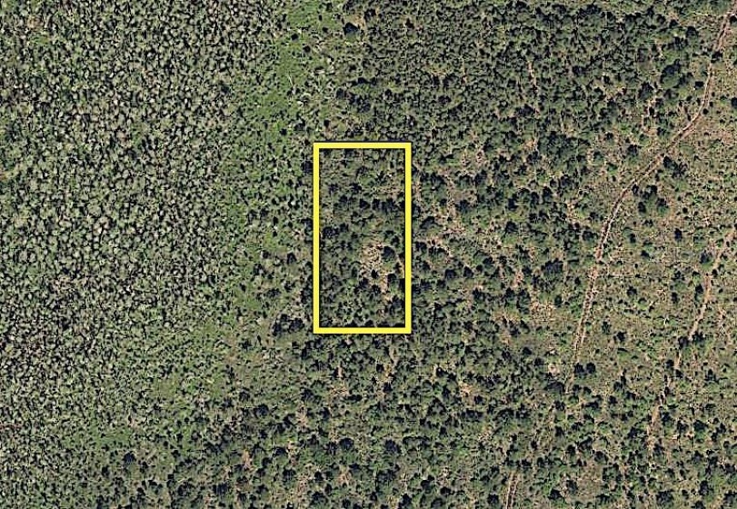 0 INTERNATIONAL DRIVE, ORLANDO, Florida 32821, ,Land,For Sale,INTERNATIONAL,R4903846
