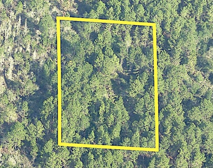0 INTERNATIONAL DRIVE, ORLANDO, Florida 32821, ,Land,For Sale,INTERNATIONAL,R4903846