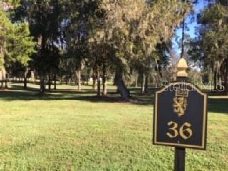 00 76TH COURT ROAD, OCALA, Florida 34482, ,Land,For Sale,76TH COURT,OM611047