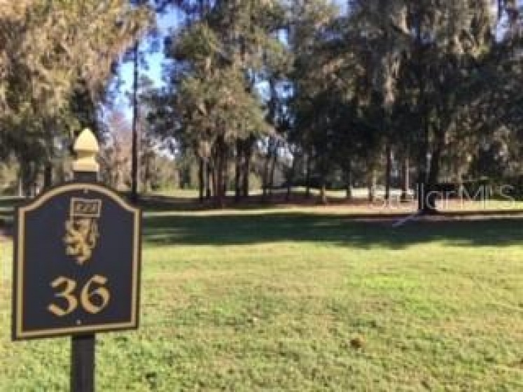 00 76TH COURT ROAD, OCALA, Florida 34482, ,Land,For Sale,76TH COURT,OM611047