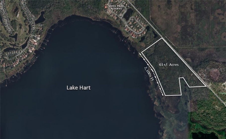 MOSS PARK ROAD, ORLANDO, Florida 32832, ,Land,For Sale,MOSS PARK,O5903841