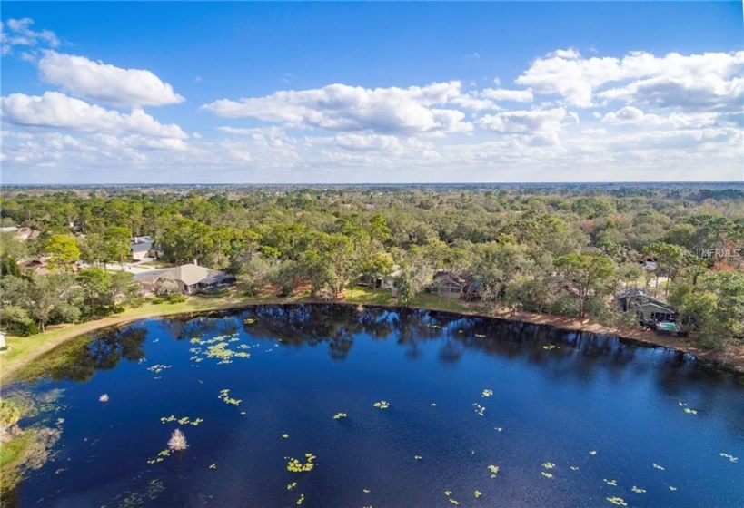 421 CARDINAL OAKS COURT, LAKE MARY, Florida 32746, ,Land,For Sale,CARDINAL OAKS,O5727815