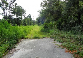 0 42nd STREET, OCALA, Florida 34479, ,Land,For Sale,42nd,OM551269