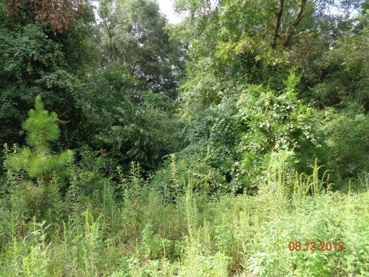 0 42nd STREET, OCALA, Florida 34479, ,Land,For Sale,42nd,OM551269