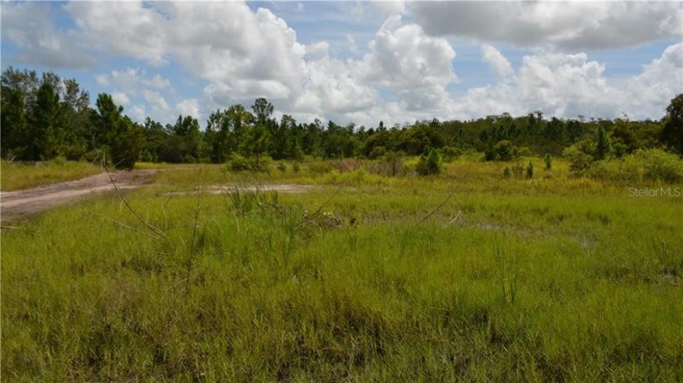STATE ROAD 520, ORLANDO, Florida 32833, ,Land,For Sale,STATE ROAD 520,O5915638