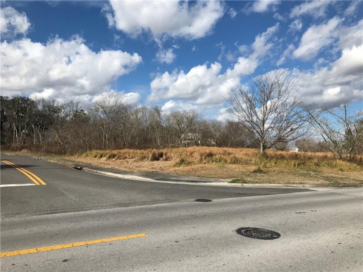 0 24TH AVENUE, OCALA, Florida 34471, ,Land,For Sale,24TH,OM613473