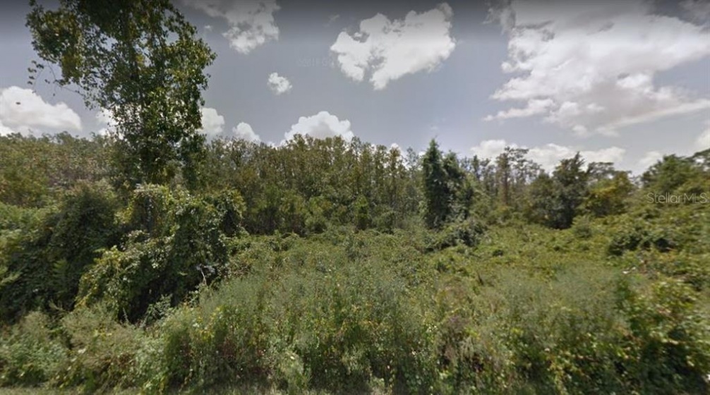 17783 SPACE COAST PARKWAY, WINTER GARDEN, Florida 34787, ,Land,For Sale,SPACE COAST,G5010986