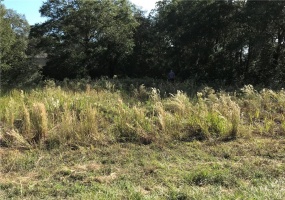 141 ST CT, OCALA, Florida 34481, ,Land,For Sale,141 ST CT,L4920774