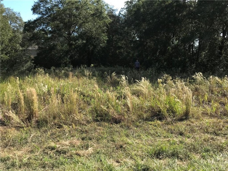 141 ST CT, OCALA, Florida 34481, ,Land,For Sale,141 ST CT,L4920774