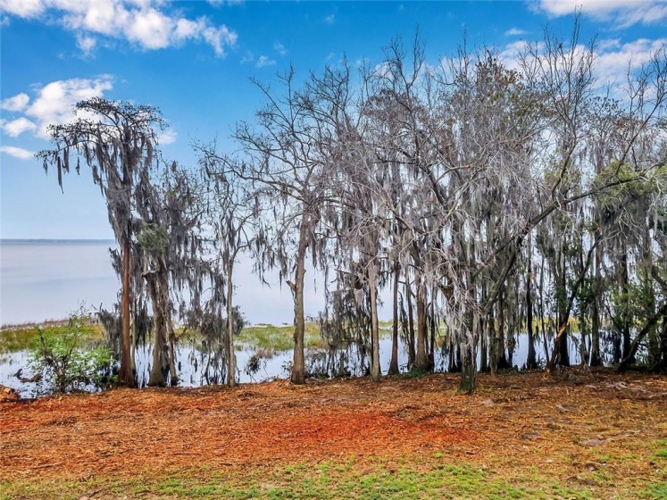 2.3 acres LAKESHORE DRIVE, CLERMONT, Florida 34711, ,Land,For Sale,LAKESHORE,O5915806