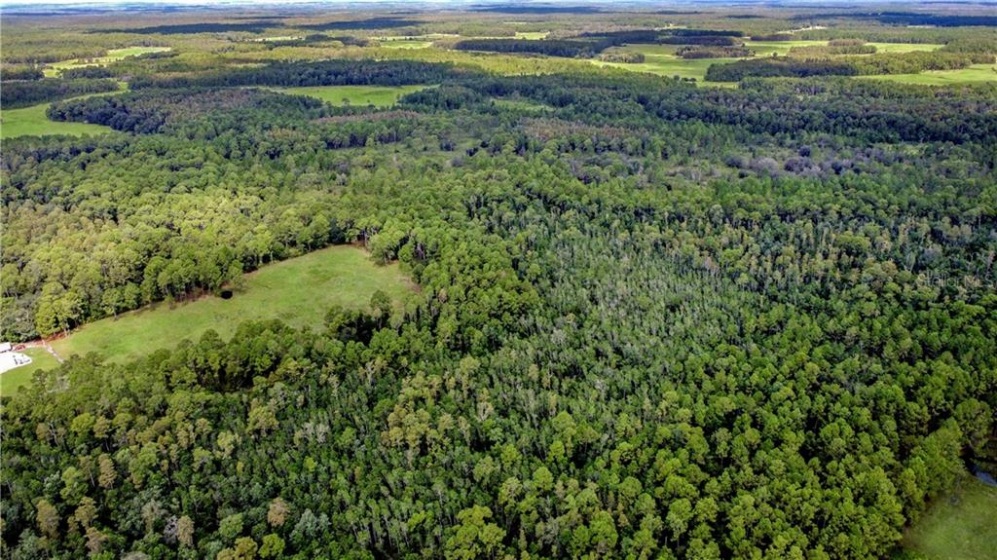 COMMONWEALTH AVENUE, POLK CITY, Florida 33868, ,Land,For Sale,COMMONWEALTH,S5038977
