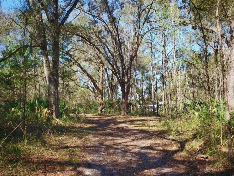 0000 100TH STREET, OCALA, Florida 34482, ,Land,For Sale,100TH,OM616147
