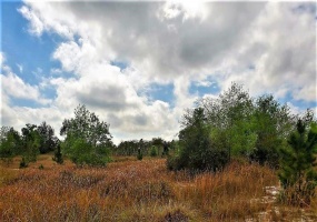 SUGARLOAF MOUNTAIN ROAD, CLERMONT, Florida 34715, ,Land,For Sale,SUGARLOAF MOUNTAIN,O5845534