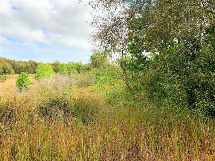 SUGARLOAF MOUNTAIN ROAD, CLERMONT, Florida 34715, ,Land,For Sale,SUGARLOAF MOUNTAIN,O5845534