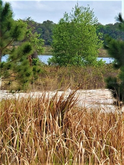 SUGARLOAF MOUNTAIN ROAD, CLERMONT, Florida 34715, ,Land,For Sale,SUGARLOAF MOUNTAIN,O5845534
