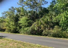 3177 STEWART BOULEVARD, KISSIMMEE, Florida 34746, ,Land,For Sale,STEWART,S5047467