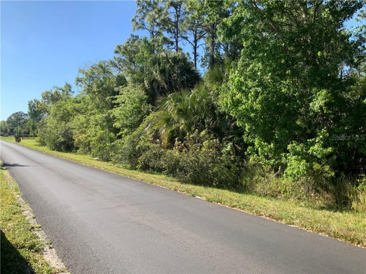 3177 STEWART BOULEVARD, KISSIMMEE, Florida 34746, ,Land,For Sale,STEWART,S5047467