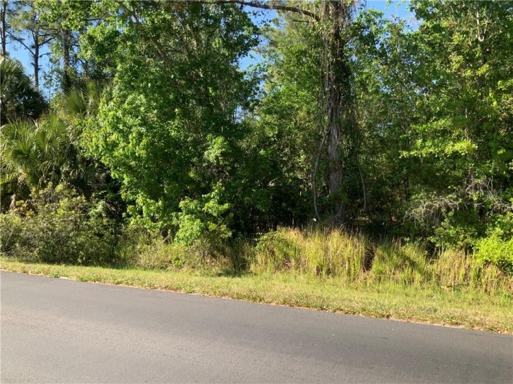 3177 STEWART BOULEVARD, KISSIMMEE, Florida 34746, ,Land,For Sale,STEWART,S5047467