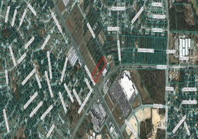 0 MARICAMP ROAD, OCALA, Florida 34472, ,Land,For Sale,MARICAMP,OM617080