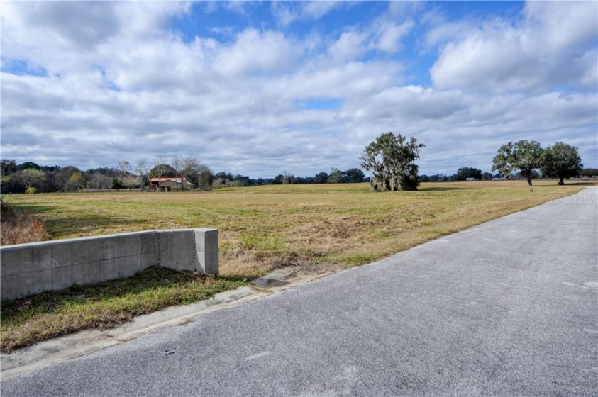 0 115TH AVENUE, LOT 8, OCALA, Florida 34482, ,Land,For Sale,115TH AVENUE, LOT 8,OM612563