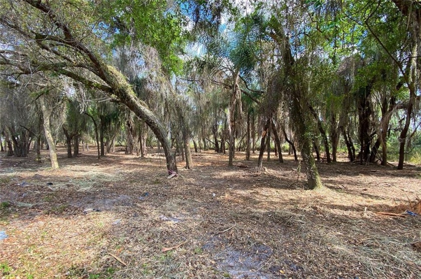 5.37 acres LAKESHORE DRIVE, CLERMONT, Florida 34711, ,Land,For Sale,LAKESHORE,O5935330