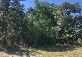 0 128TH STREET ROAD, OCALA, Florida 34473, ,Land,For Sale,128TH STREET,OM617957