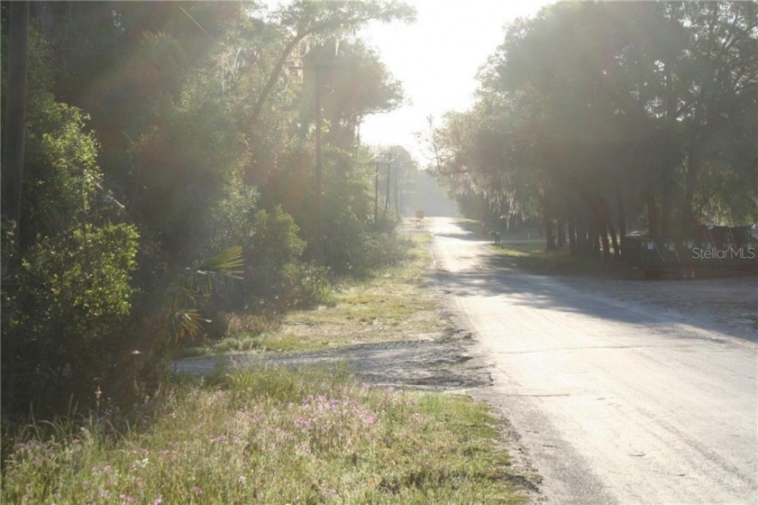 4541 95TH STREET, OCALA, Florida 34480, ,Land,For Sale,95TH,OM618359