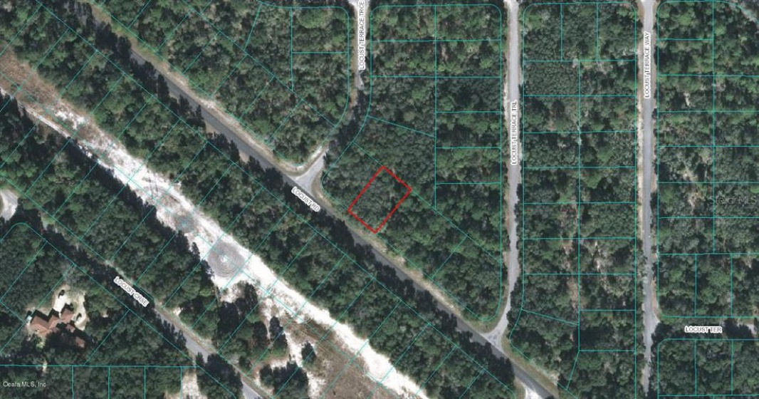50 LOCUST ROAD, OCALA, Florida 34472, ,Land,For Sale,LOCUST,OM523125