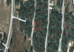 00 LOCUST PASS, OCALA, Florida 34472, ,Land,For Sale,LOCUST,OM523381