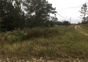0 30TH PLACE, OCALA, Florida 34481, ,Land,For Sale,30TH,OM610454