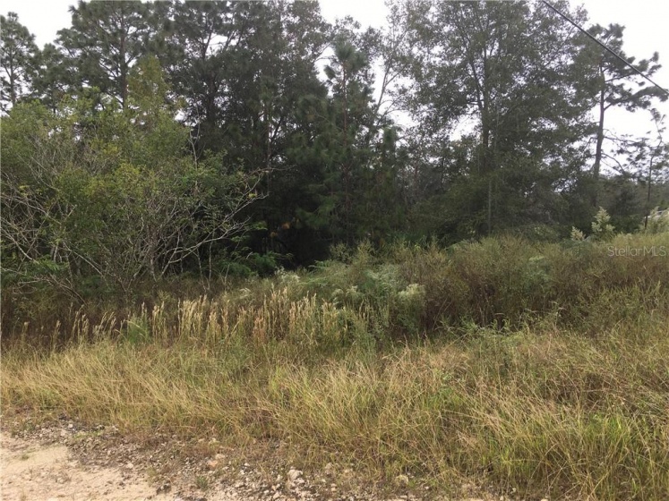0 30TH PLACE, OCALA, Florida 34481, ,Land,For Sale,30TH,OM610454