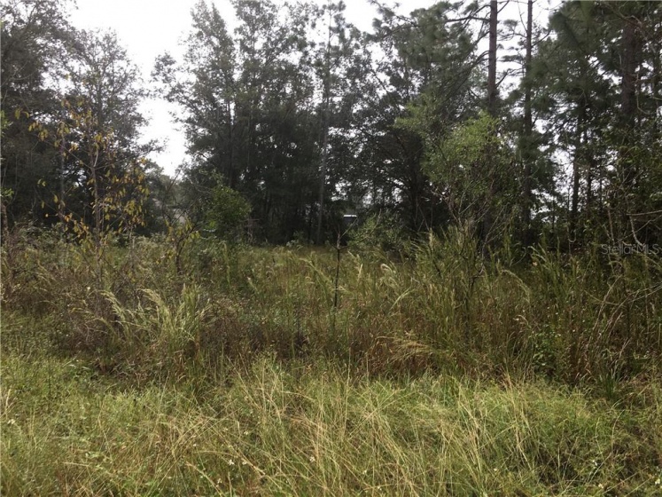0 30TH PLACE, OCALA, Florida 34481, ,Land,For Sale,30TH,OM610454