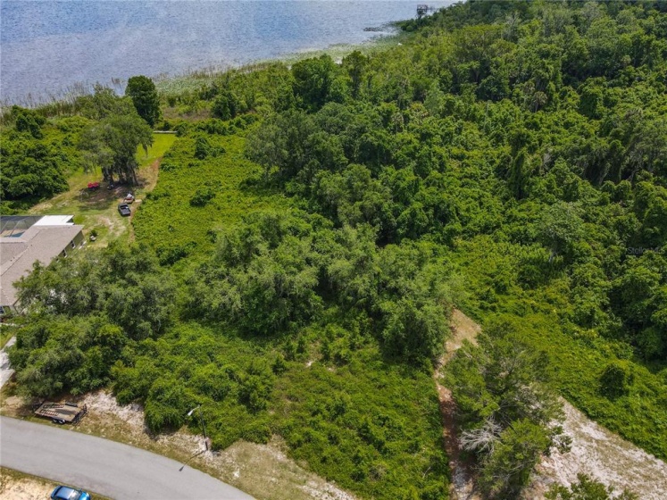 HAINES CITY, Florida 33844, ,Land,For Sale,P4915494
