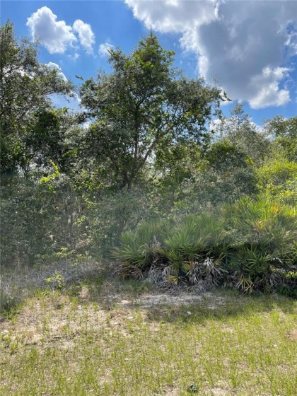 615 MEDITERRANEAN COURT, POINCIANA, Florida 34759, ,Land,For Sale,MEDITERRANEAN,S5049855
