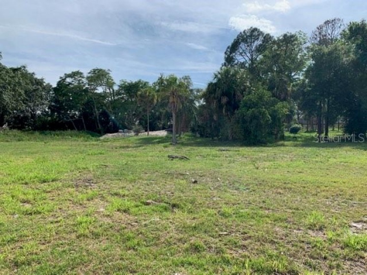 803 PAHOA STREET, ORLANDO, Florida 32818, ,Land,For Sale,PAHOA,O5941766