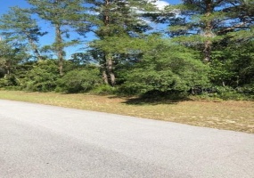 0 43 COURT ROAD, OCALA, Florida 34473, ,Land,For Sale,43 COURT,OM619817