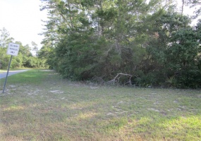 TBA MARION OAKS LANE, OCALA, Florida 34473, ,Land,For Sale,MARION OAKS,OM619842