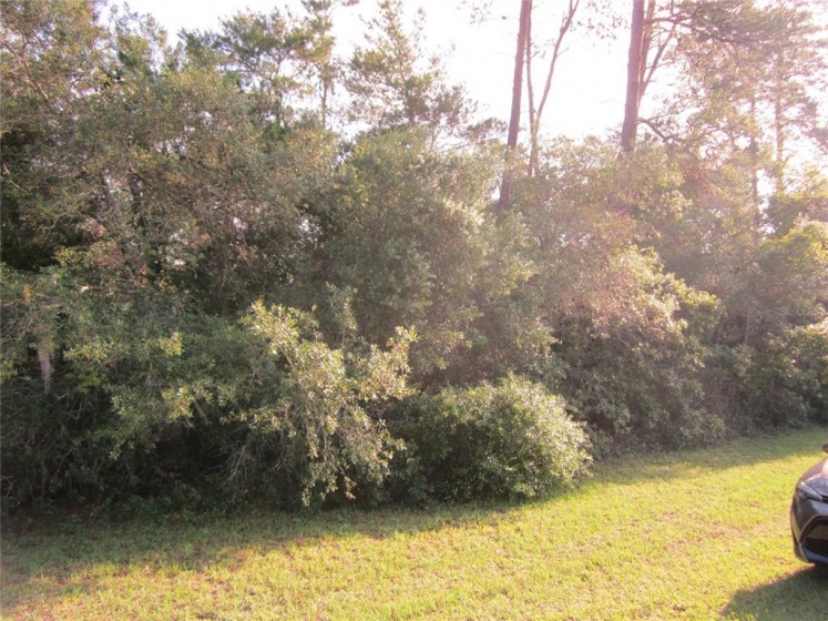 TBA MARION OAKS LANE, OCALA, Florida 34473, ,Land,For Sale,MARION OAKS,OM619842